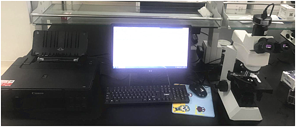 微生物涂片镜检图文报告系统.png 微生物涂片镜检图文报告系统.png