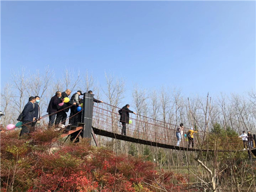 1605495621896011633.png 图片2_副本.png