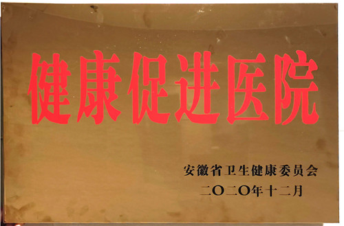 1614680286720087442.jpg 2020年度健康促进医院_副本.jpg