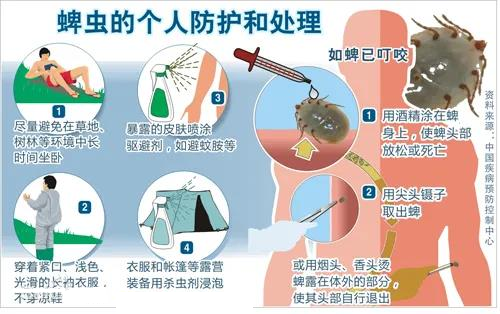 1620983521498066598.png 图片5.png
