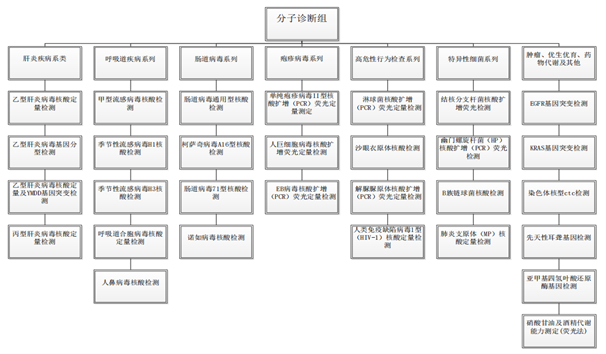 分子诊断组.png
